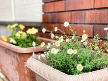 入社式に向けて🌼🍀